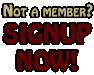 Sign Up